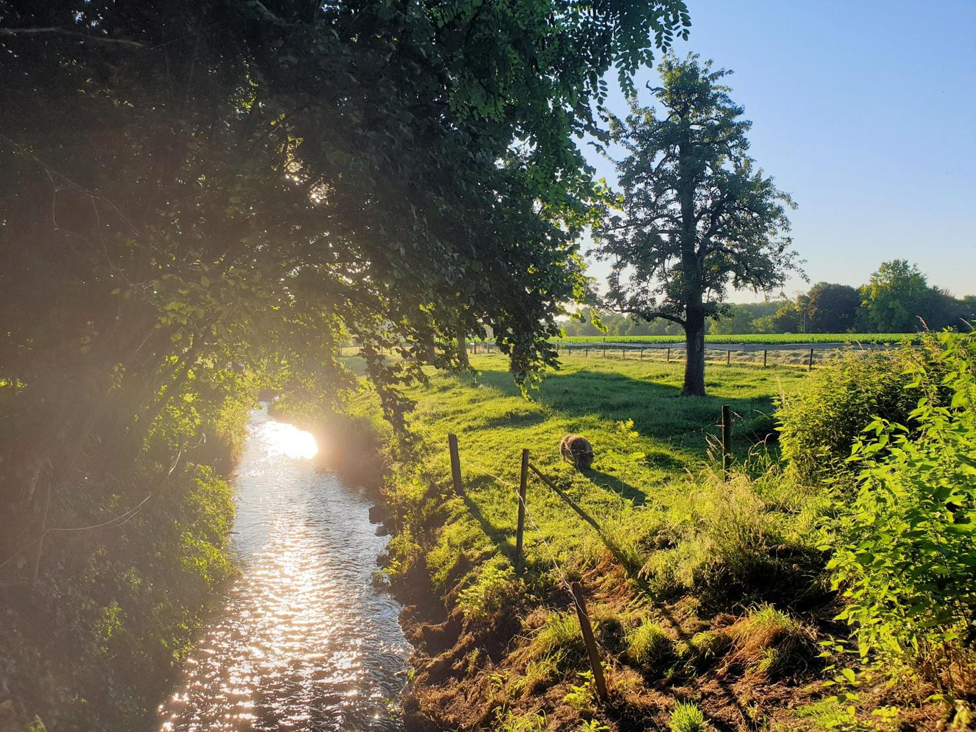 Meschermolen, Overnachten In De Schuur Eijsden Dış mekan fotoğraf