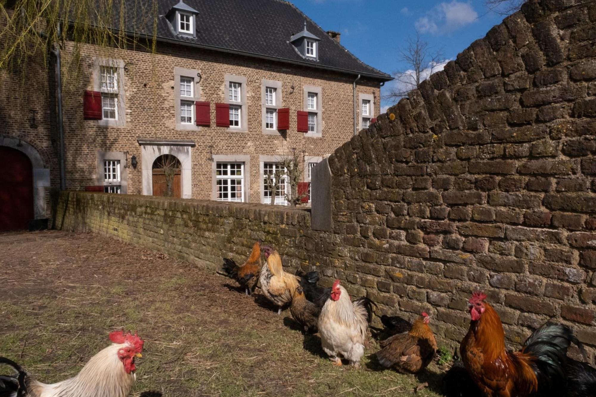 Meschermolen, Overnachten In De Schuur Eijsden Dış mekan fotoğraf